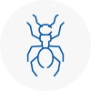 Ant Removals In Livingston