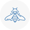 Bee Nest Removal Livingston