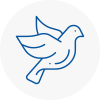 Bird Prevention Livingston