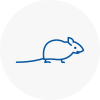 Mice Exterminators In Livingston