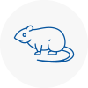 Rat Control Livingston