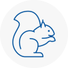 Livingston Rodent Removals