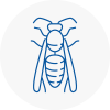 Livingston Wasp Nest Removal